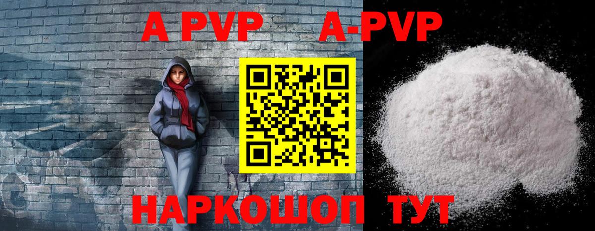 Альфа ПВП СК КРИС Кировск