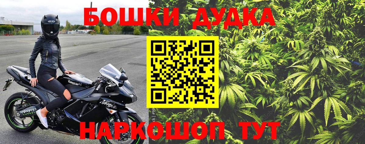 Бошки марихуана конопля  Марихуана Amnesia  Конопля план  Вход с VPN  Канабис планчик  Кировск 